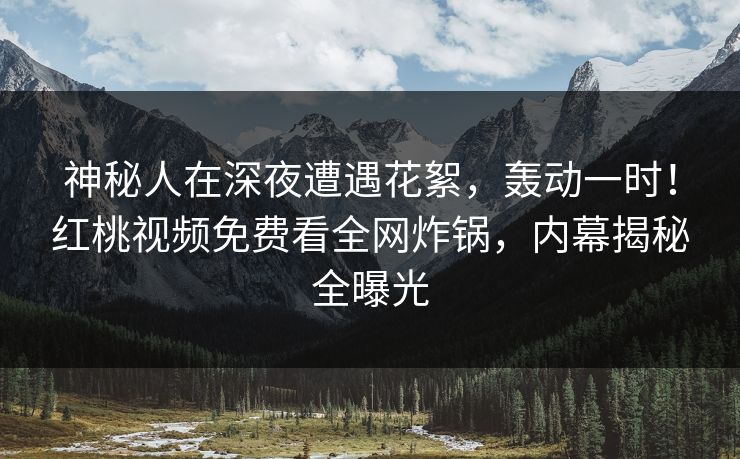 神秘人在深夜遭遇花絮，轰动一时！红桃视频免费看全网炸锅，内幕揭秘全曝光