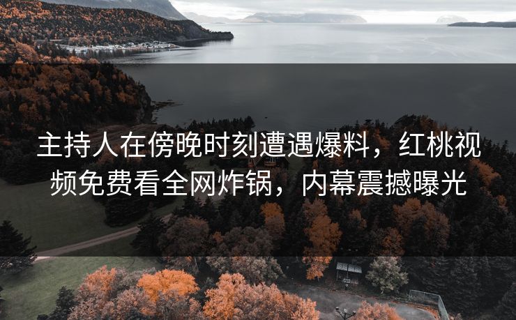 主持人在傍晚时刻遭遇爆料，红桃视频免费看全网炸锅，内幕震撼曝光