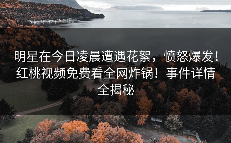明星在今日凌晨遭遇花絮，愤怒爆发！红桃视频免费看全网炸锅！事件详情全揭秘